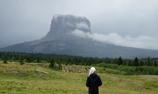 Wits Growing Sharper